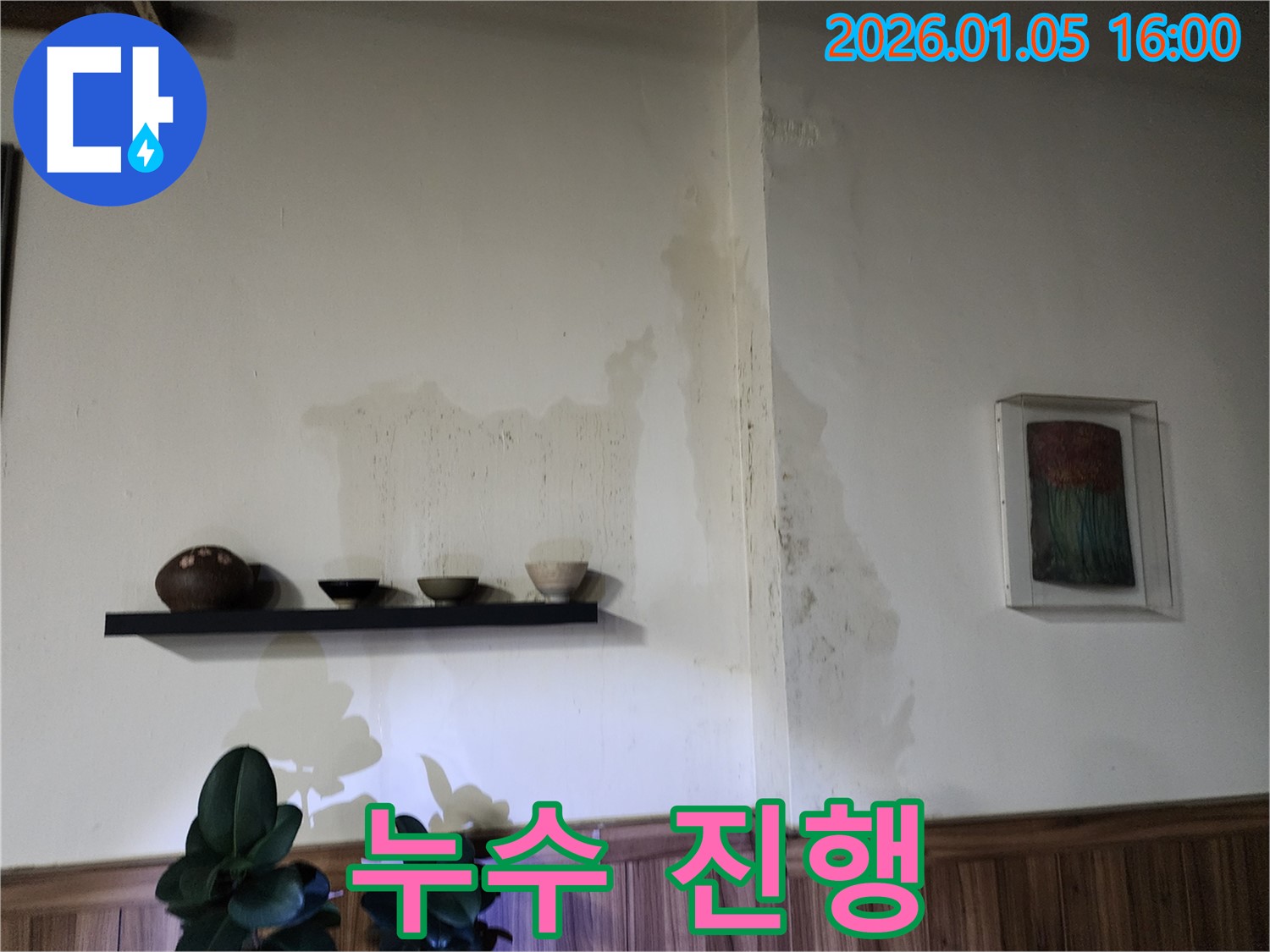 월계1동 아파트 벽면 누수 진행 상황 - 신속하고 정확한 누수 해결 서비스 제공