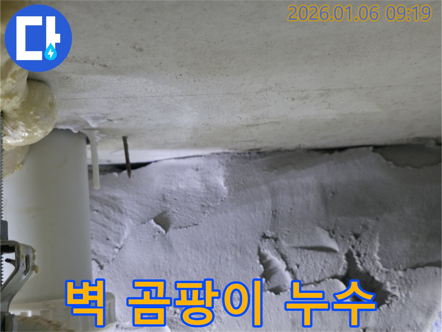 하남 누수 해결사가 촬영한 벽 곰팡이 사진 - 누수 방치 시 곰팡이 발생!