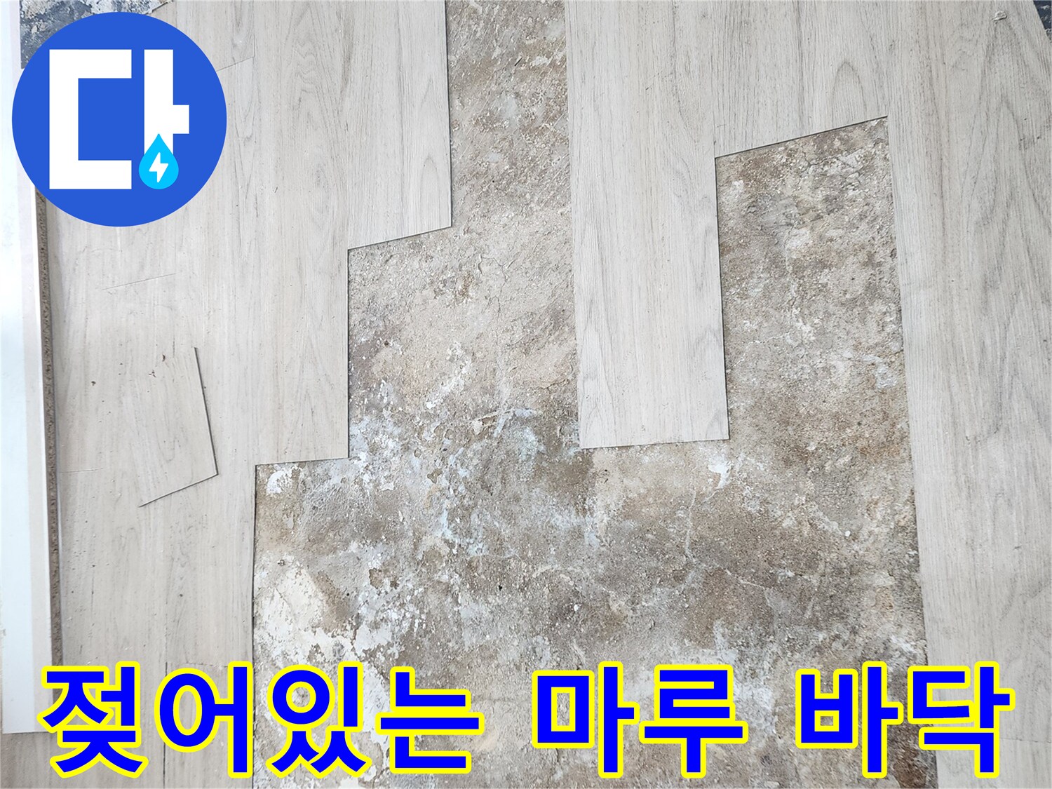 동두천 생연동-누수로 인해 변색되고 젖은 마루 바닥 상태