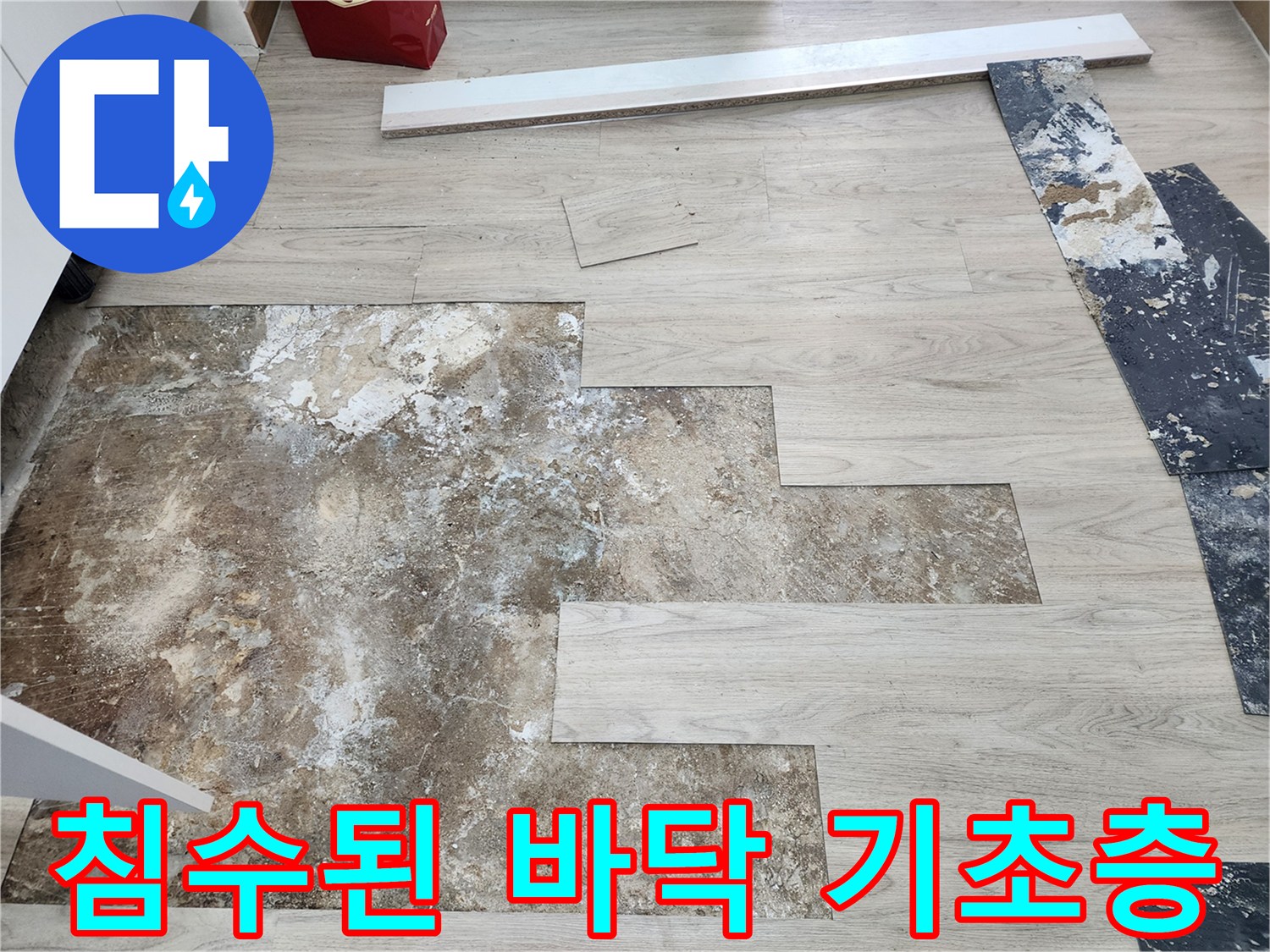 마루 제거 후 드러난 물기에 젖은 바닥의 모습