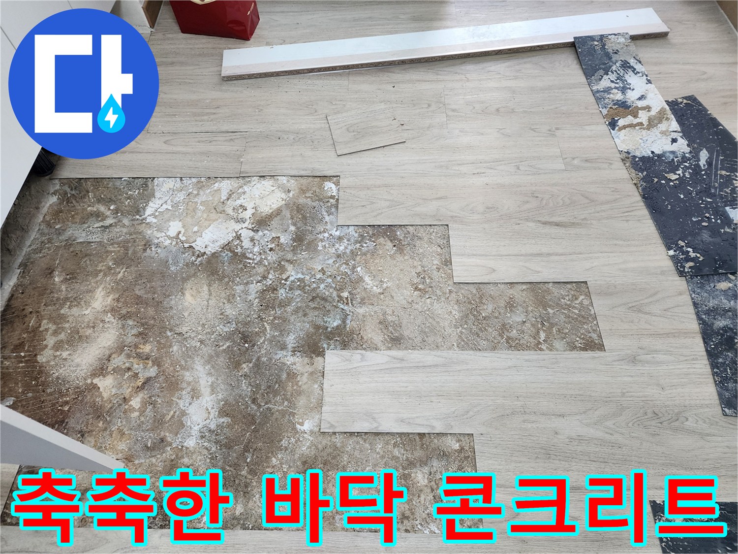 물샘으로 인해 젖어 있는 마루 아래 하부 구조