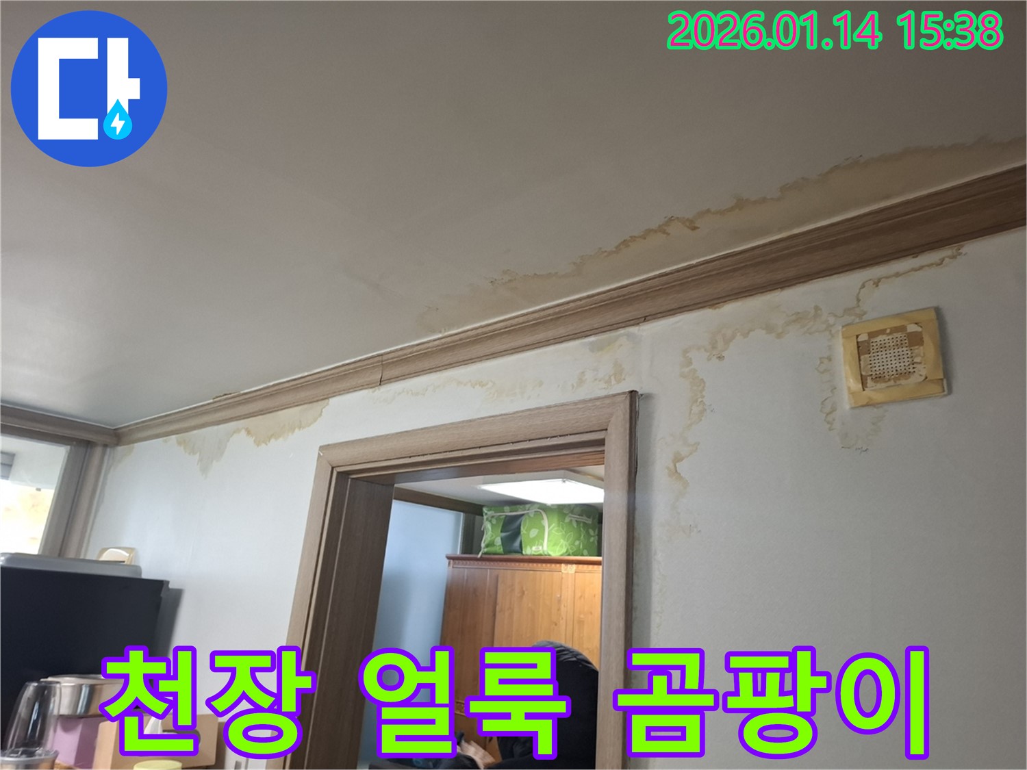 30년된 아파트 천장에 얼룩과 곰팡이가 심하게 핀 모습 - 누수 흔적