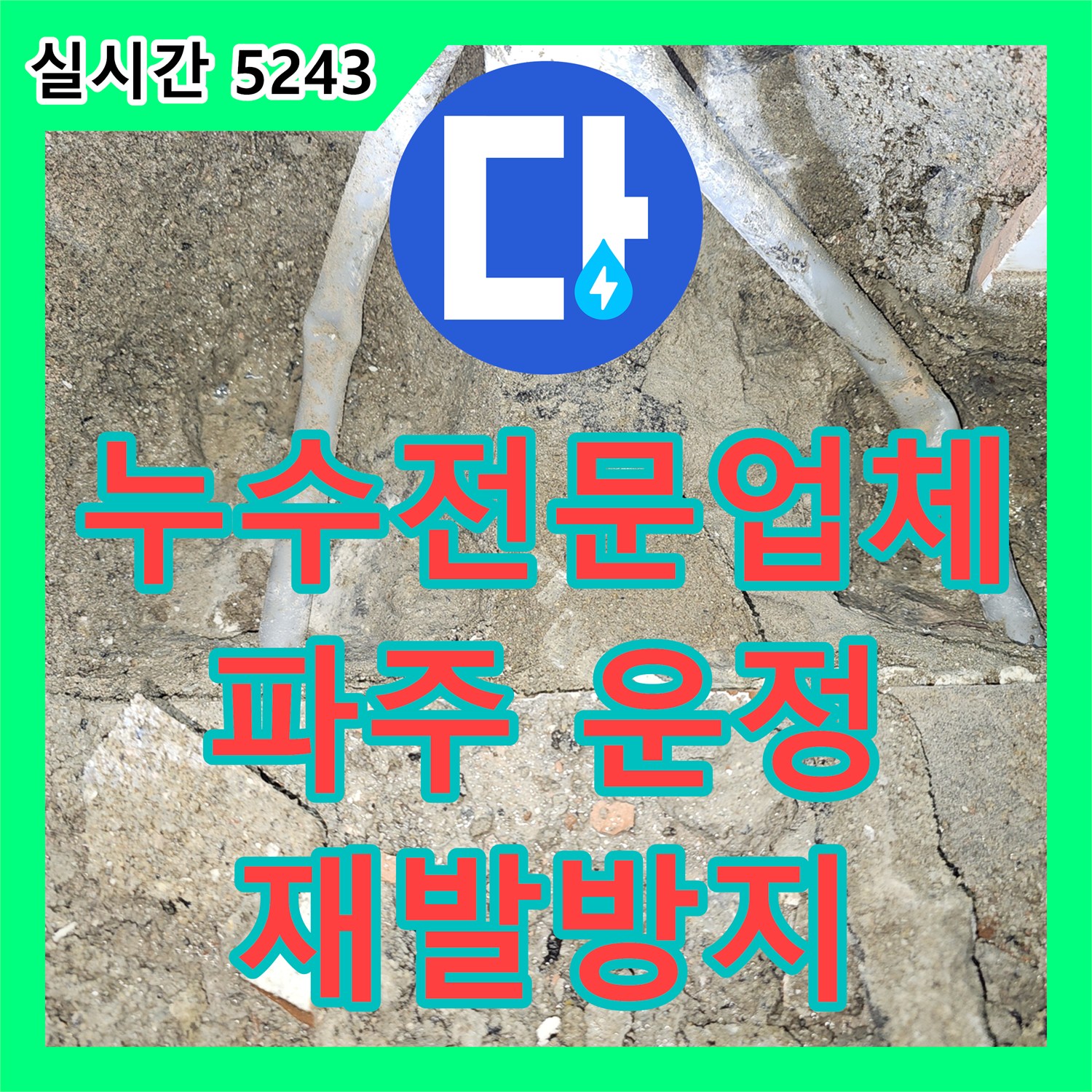 누수전문업체, 2중 압력계와 모든 기술로 누수 원인을 꼼꼼히 파악하여 재발을 방지하는 과정 - 파주시 운정동