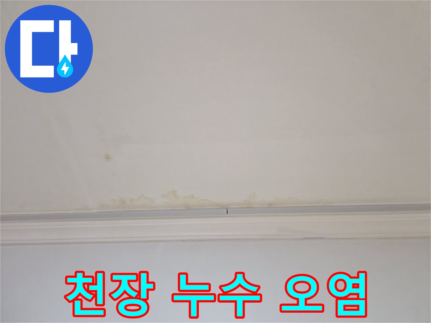 누수로 인해 변색되고 곰팡이가 발생한 천장 몰딩 부위입니다.