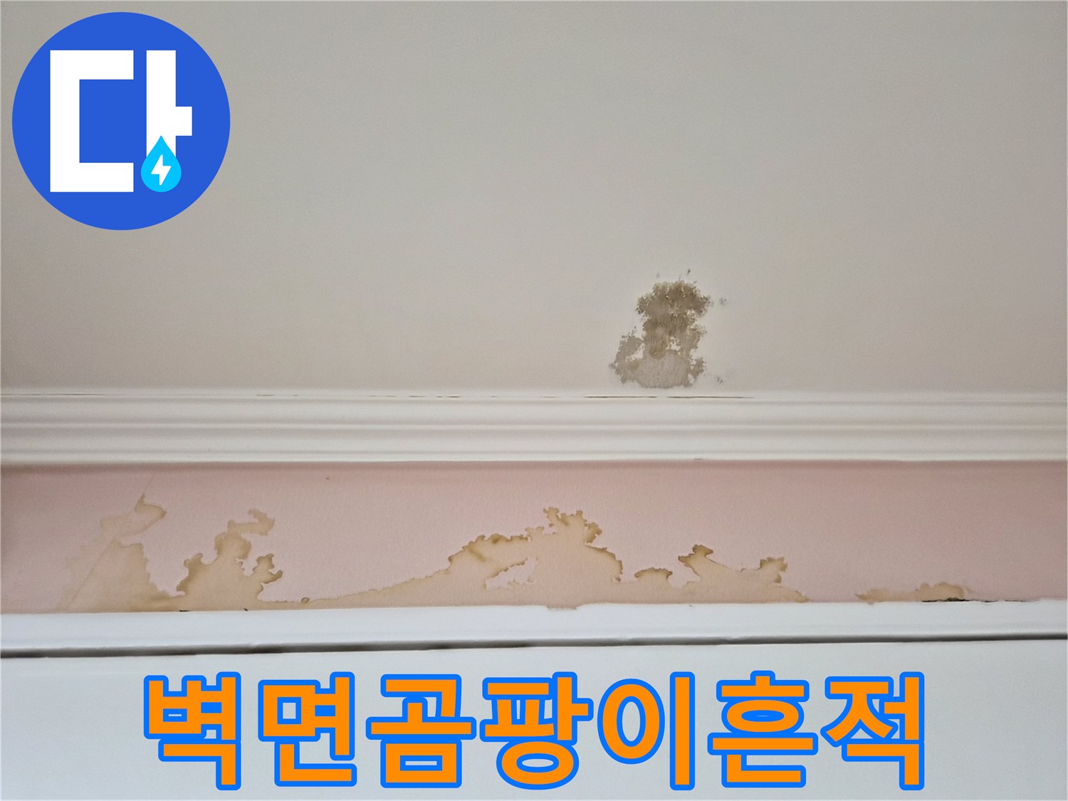 벽지와-몰딩-사이의-심한-곰팡이-번짐