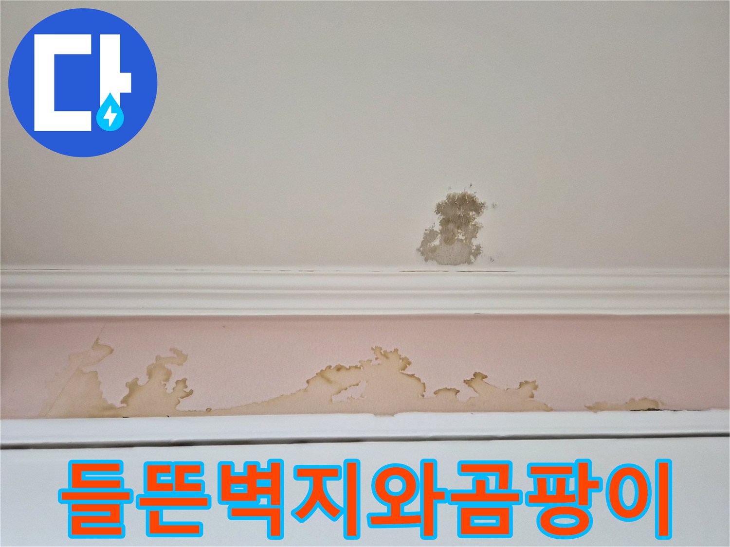 습기로-인해-부풀어-오른-하얀색-벽지-표면