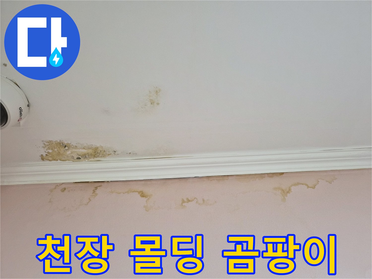 어린이집-천장-몰딩-주변의-곰팡이와-물자국