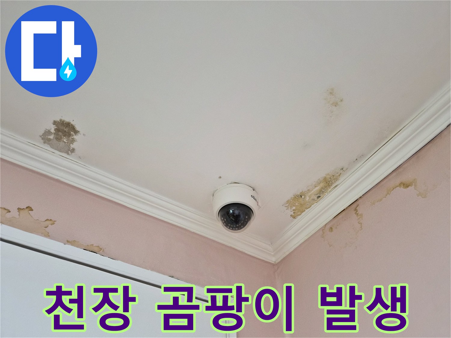 천장-과-벽면-경계에-발생한-곰팡이와-물자국