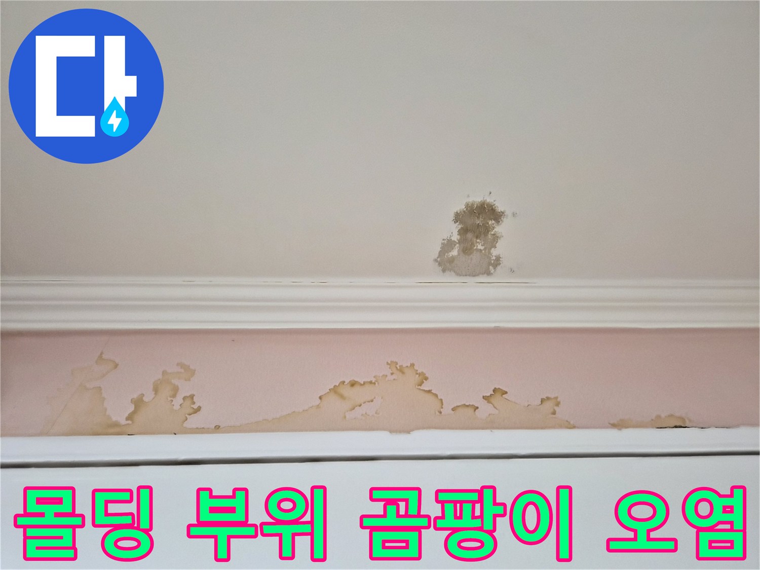 천장-몰딩-경계면의-누수-흔적과-곰팡이-발생
