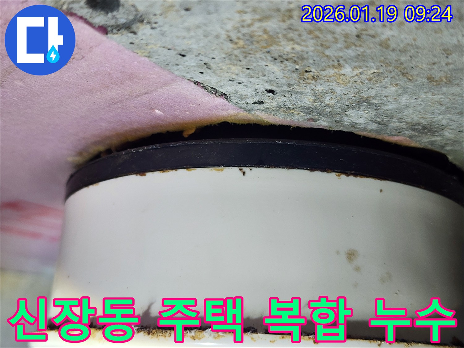 신장동 주택 천장-배관 주변 복합적인 누수 흔적과-손상된 마감재 확인