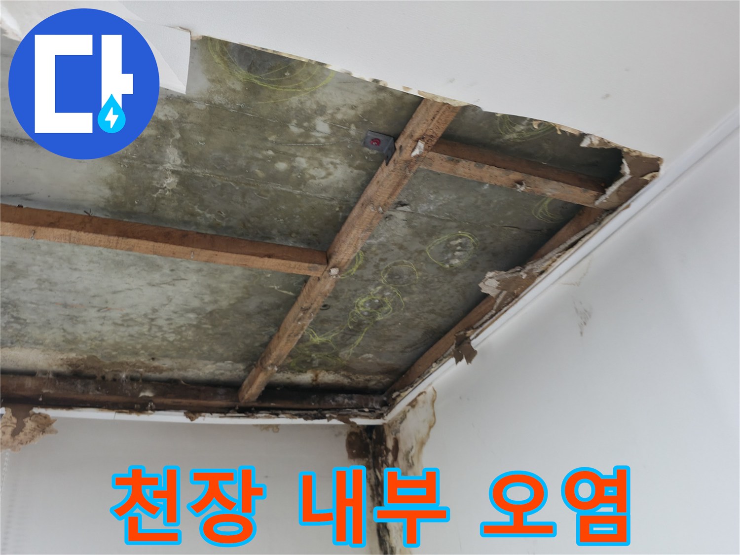 습기로 인해 변색된 천장 내부 구조물