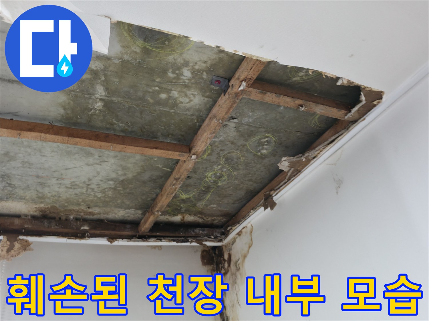 천장 마감재 제거 후 보이는 곰팡이와 습기 흔적