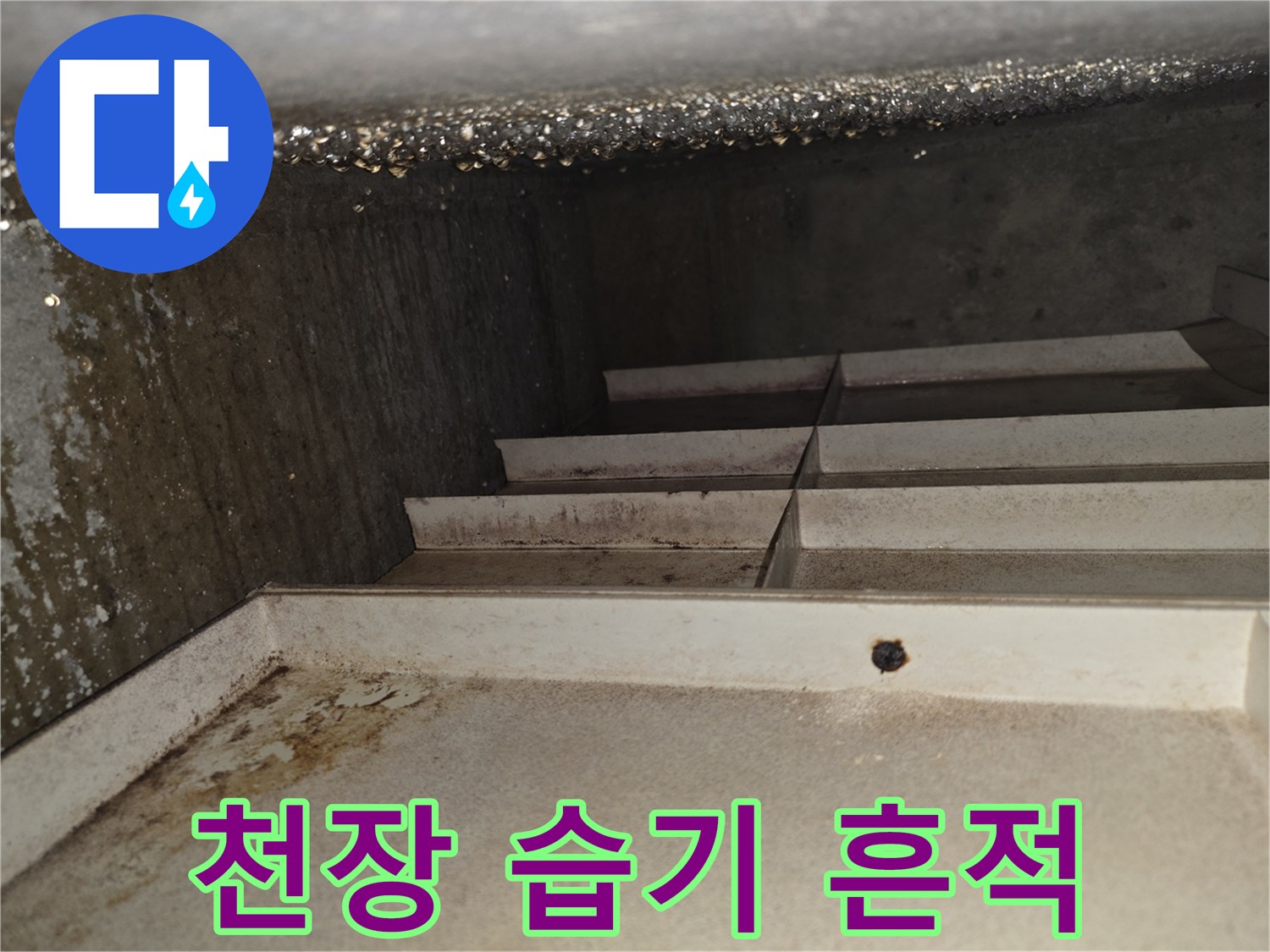 안산 상록구-주방 천장 슬래브의 물방울과 습기 상태