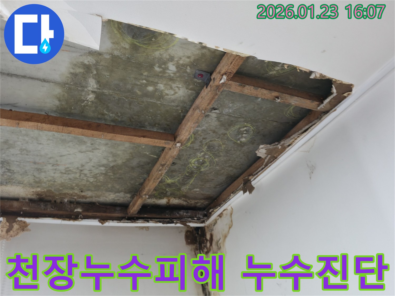 천장-마감재-제거-후-드러난-콘크리트-슬라브와-목재-지지대의-누수-흔적