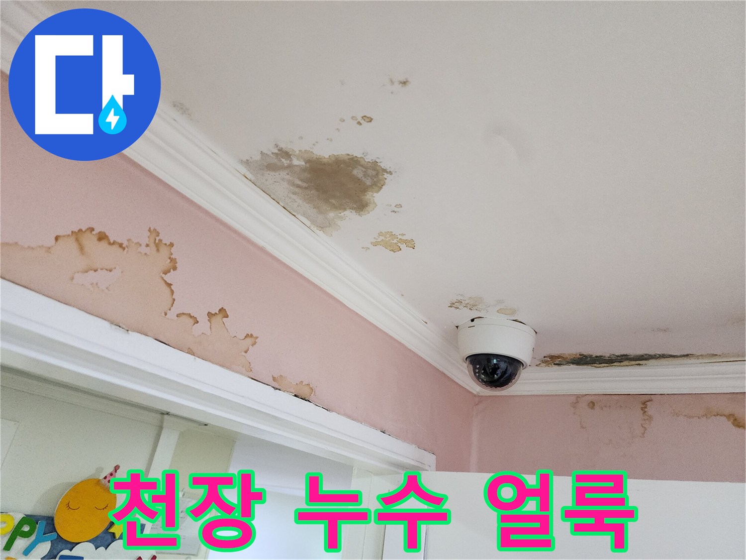 강남구 아파트 천장 벽면의 누수 흔적과 곰팡이 상태