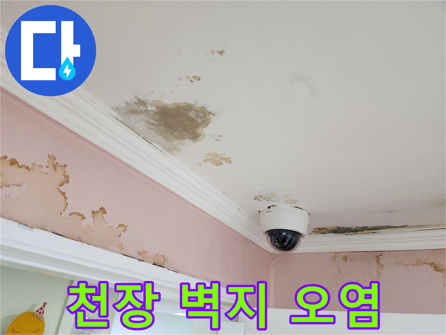 아래층 천장에 나타난 갈색 물얼룩과 변색된 부위