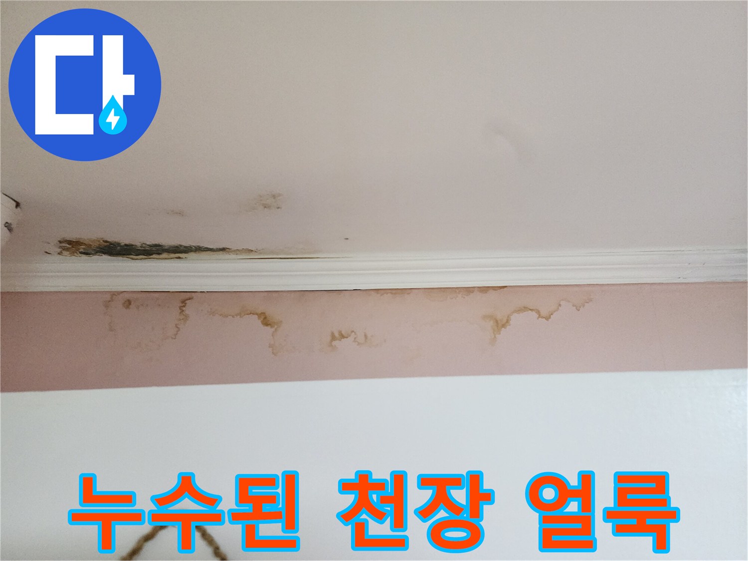 천장 몰딩 부근의 누런색 누수 흔적과 곰팡이