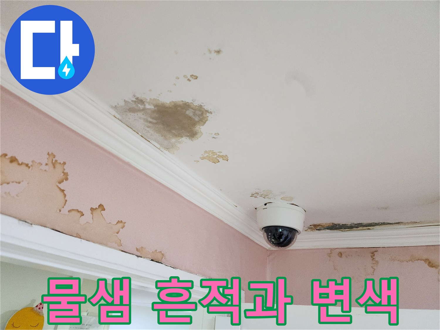 천장 몰딩 부근의 젖은 자국 및 곰팡이 발생 상황