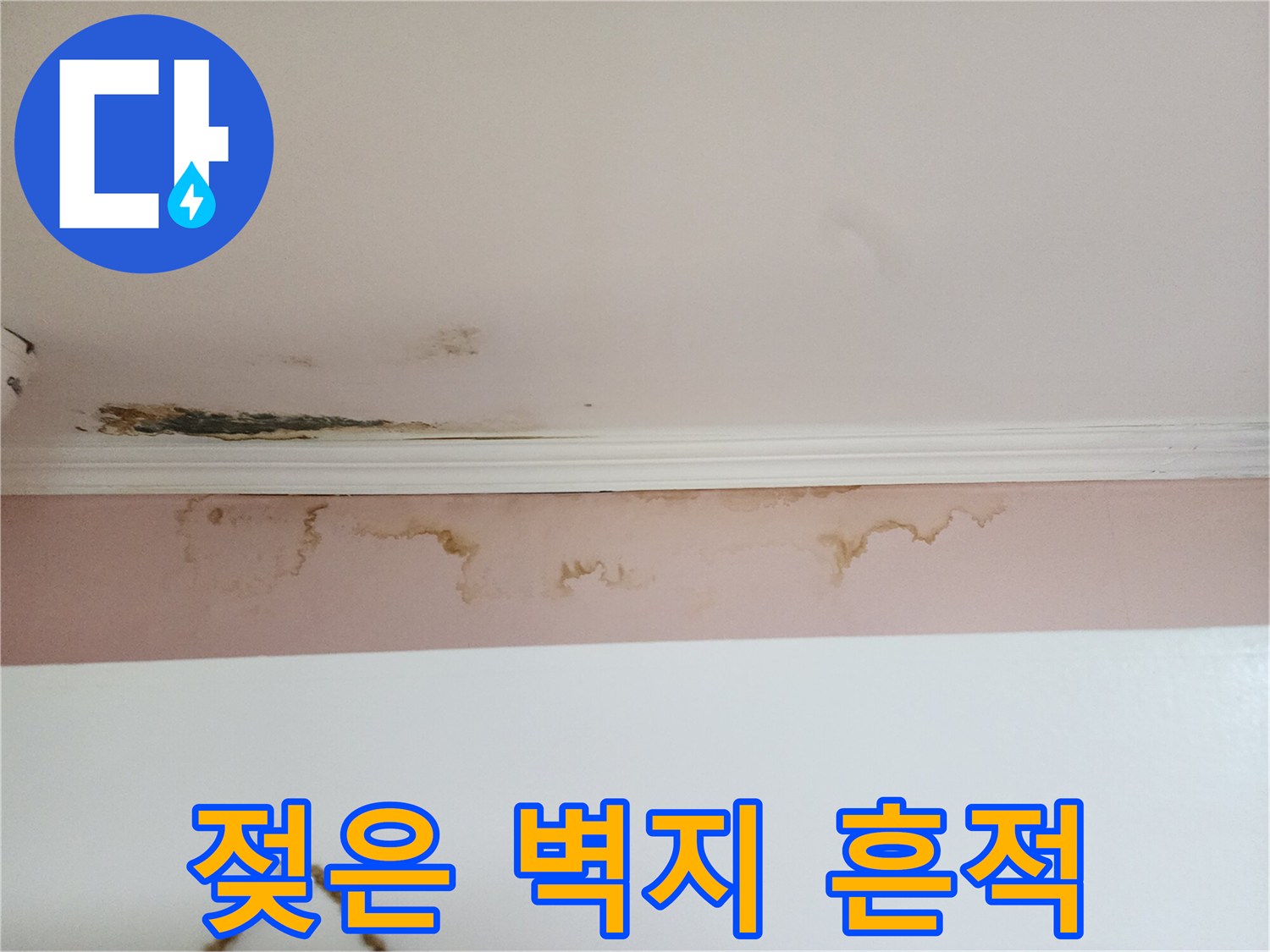 천장 몰딩 아래로 번진 누수 변색 부위