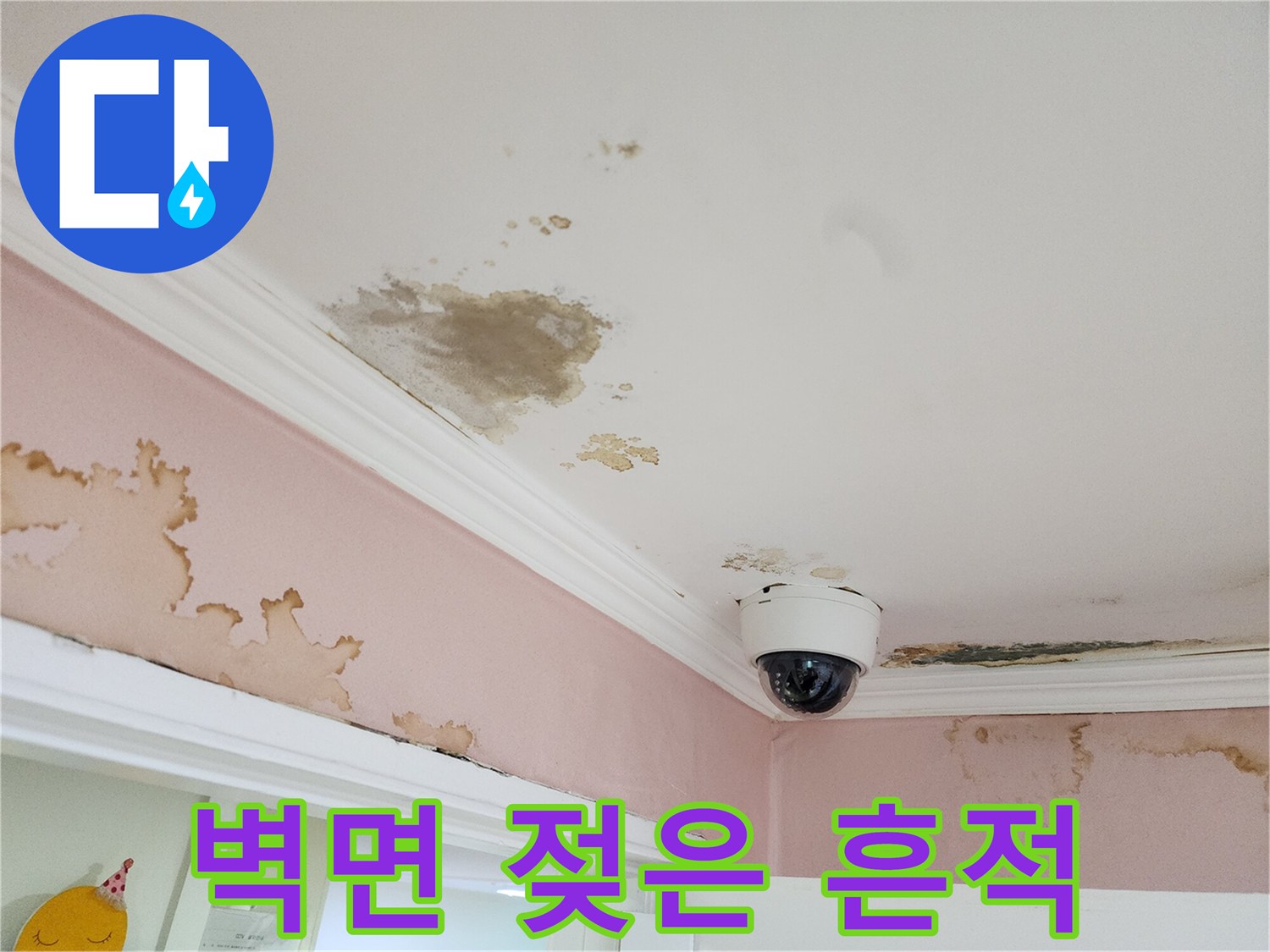 천장 몰딩과 벽면 경계에 나타난 누수 피해 부위