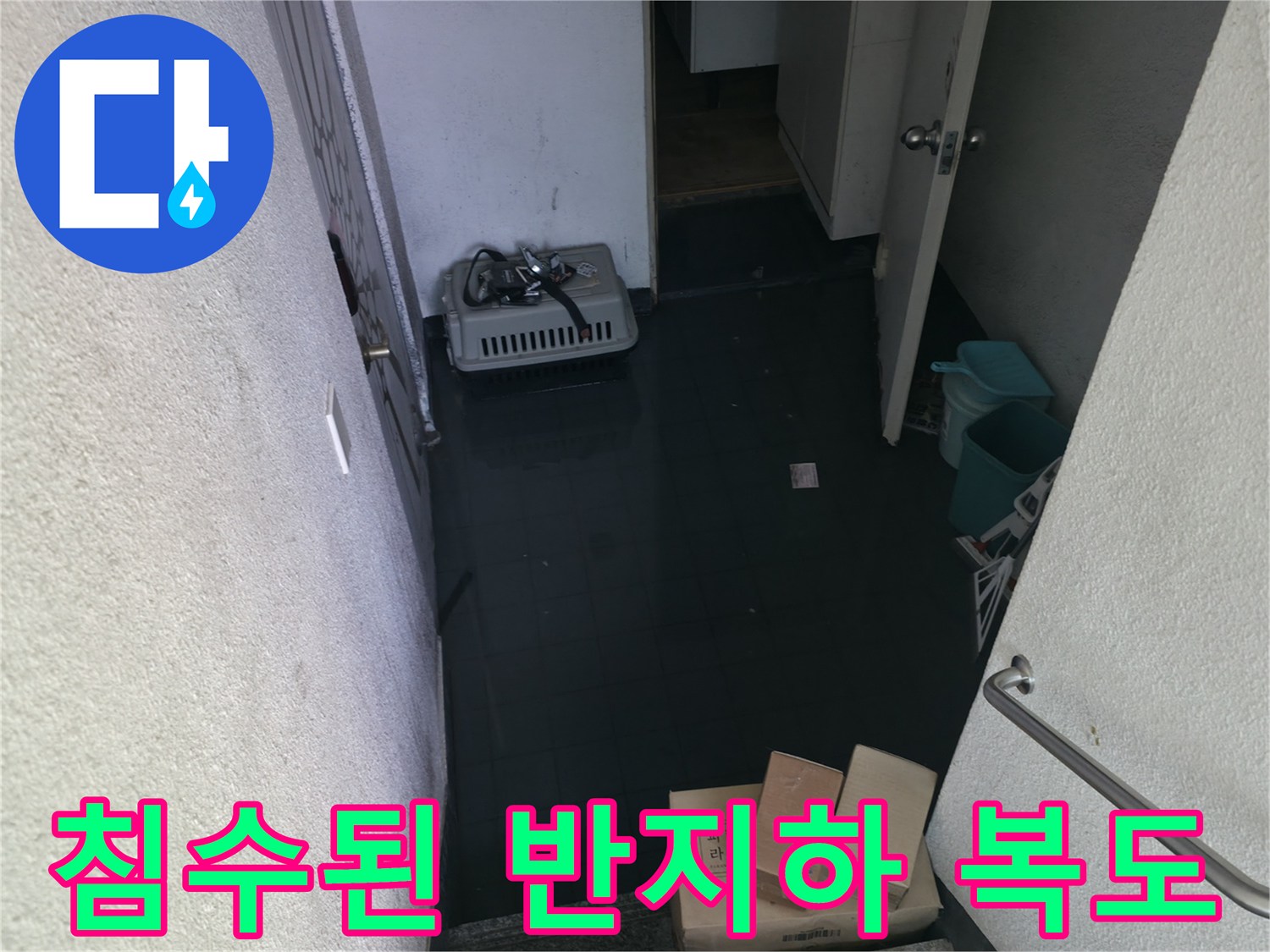 오수가-차올라-물이-고인-반지하-복도-바닥