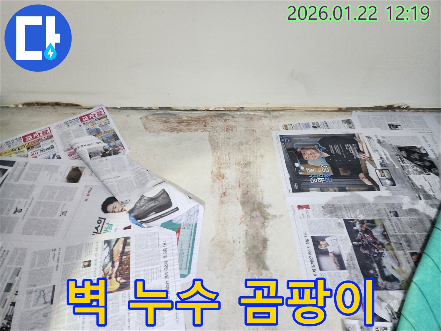 벽에 핀 곰팡이 - 누수로 인해 습기가 높아져 곰팡이가 번식한 모습입니다.