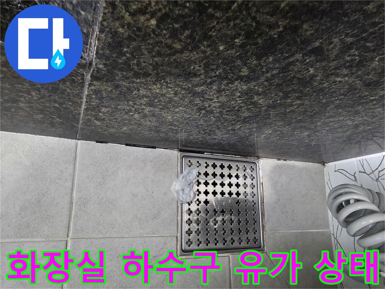 파주 가람동 화장실 바닥 하수구 유가 주변 점검 사진