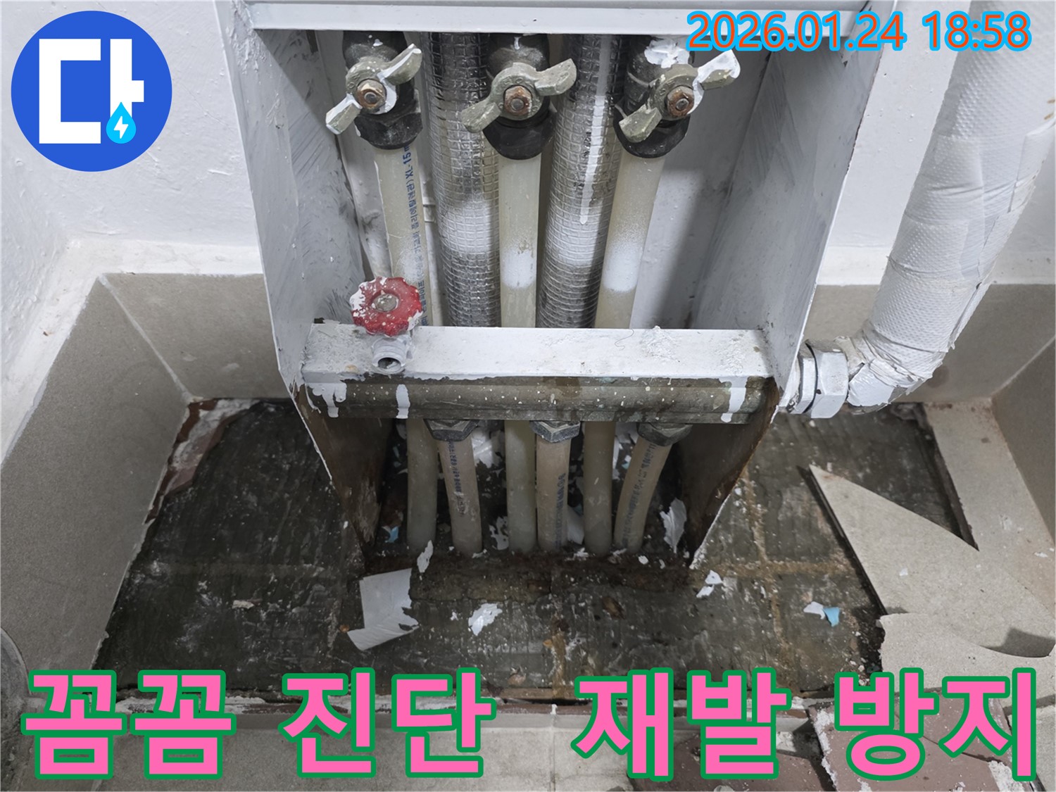 인천 연수구 동춘동 누수 현장에서 꼼꼼하게 진단하여 누수 재발을 방지하는 모습 - 꼼꼼한 진단은 누수 재발 방지에 필수적입니다.