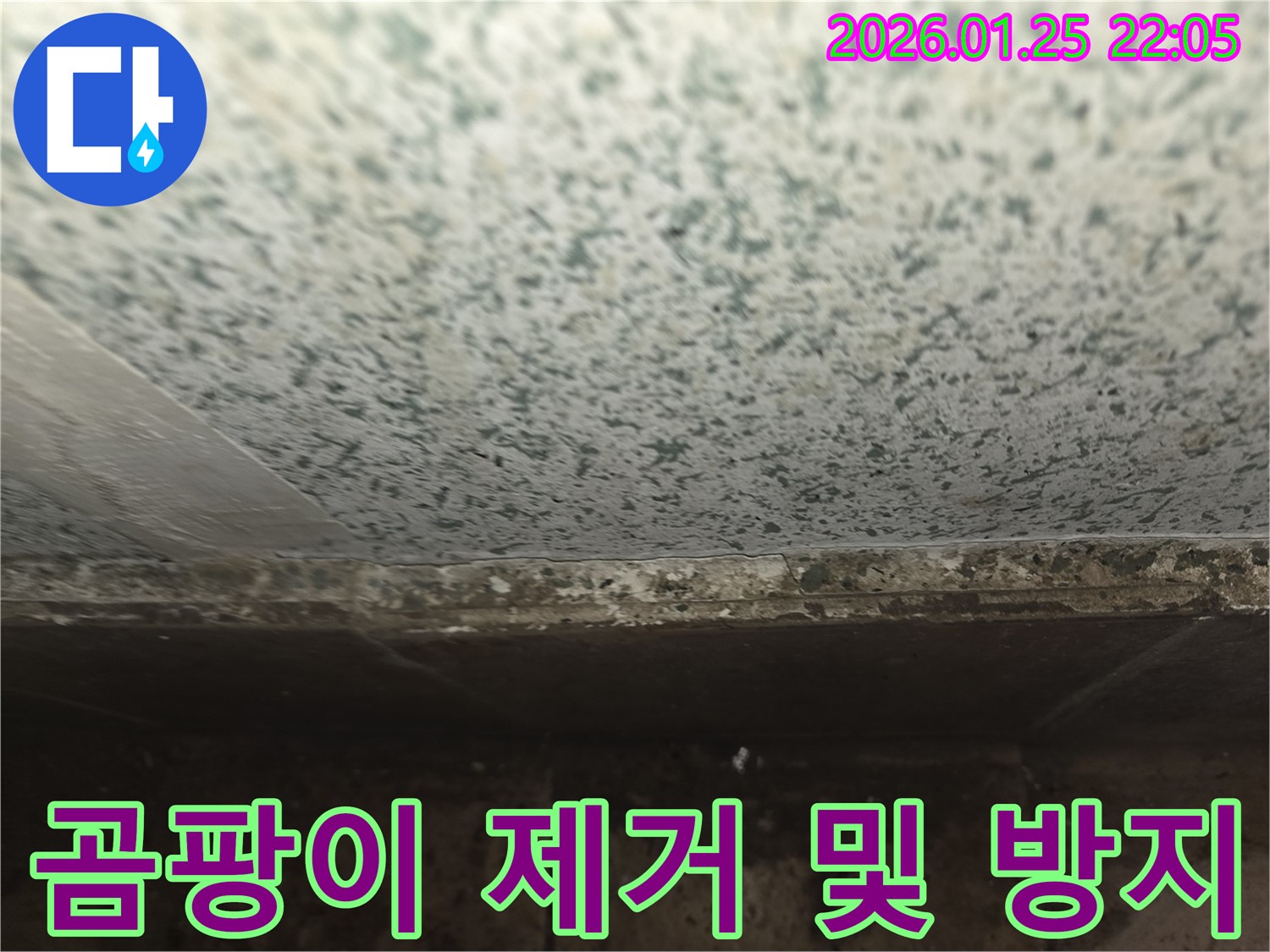 용인 처인구 모현읍 누수 - 천장 곰팡이 완벽 제거 및 재발 방지 시공