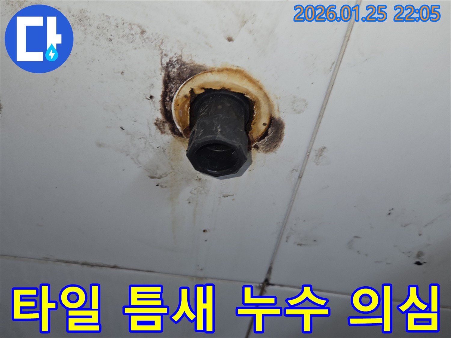 타일 틈새 주변 누수 의심 지점 - 첨단 장비와 숙련된 기술로 정확한 누수 위치 탐지