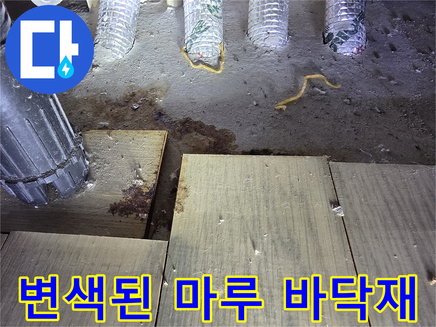 배관-주변의-젖고-검게-변한-마루-표면