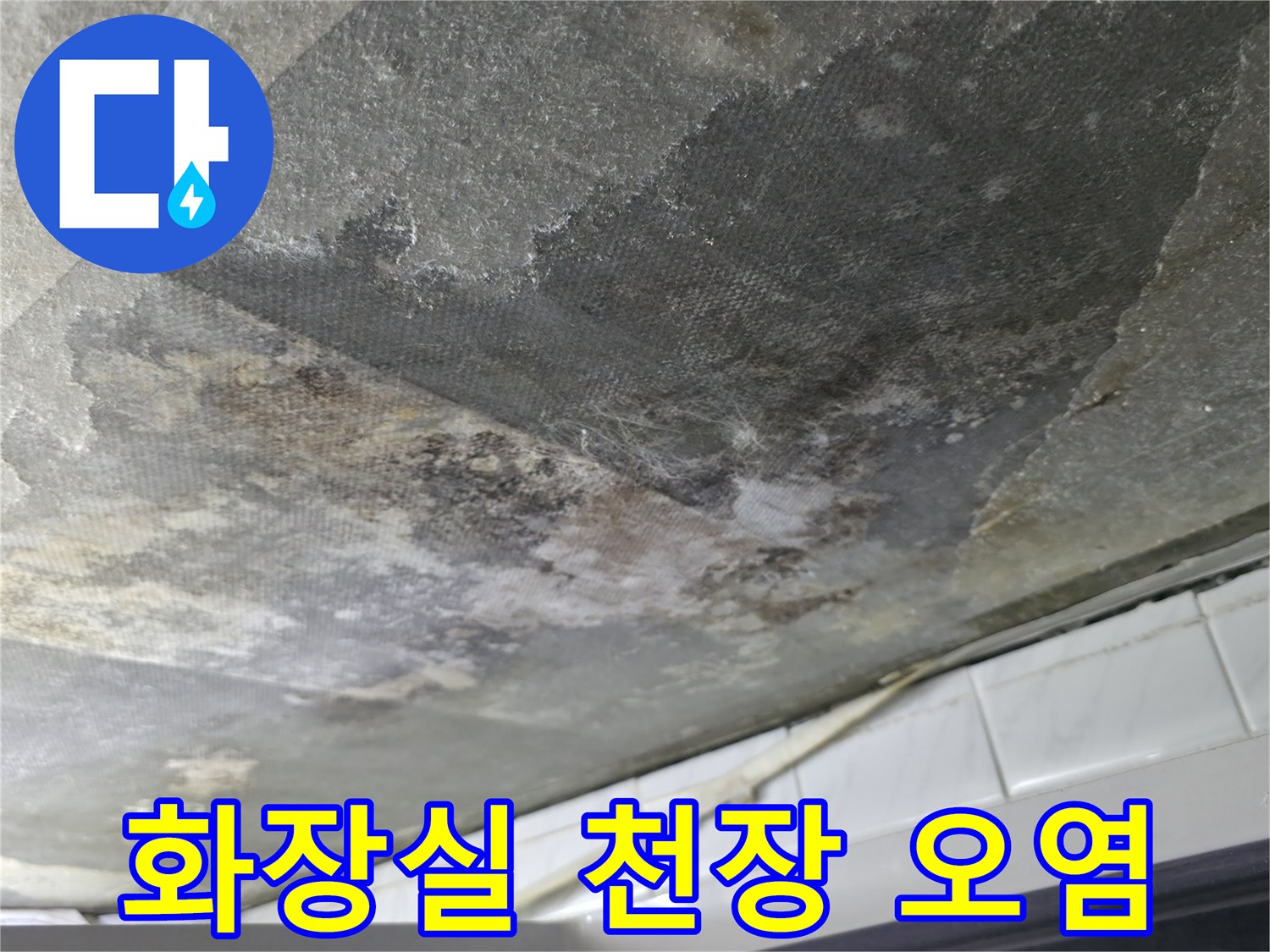 부천 원미구 화장실-천장 콘크리트-슬래브 습기-및 오염 상태