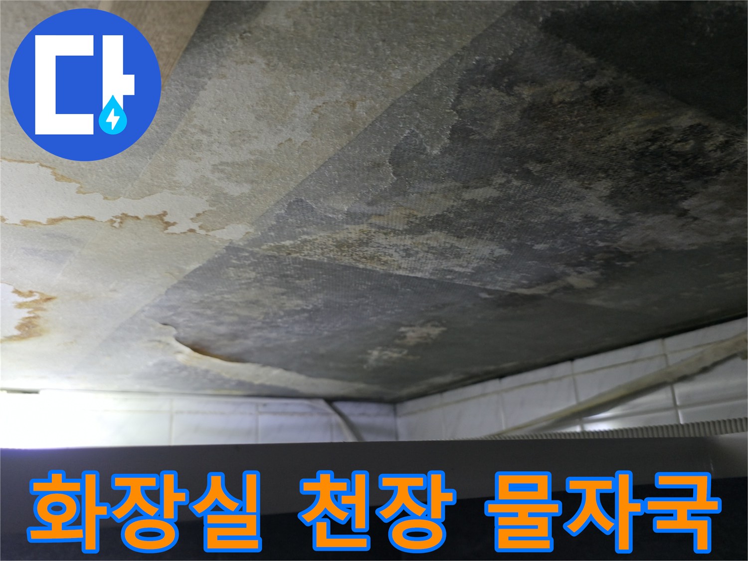 천장-콘크리트-면의-축축한-물자국과-변색된-부분