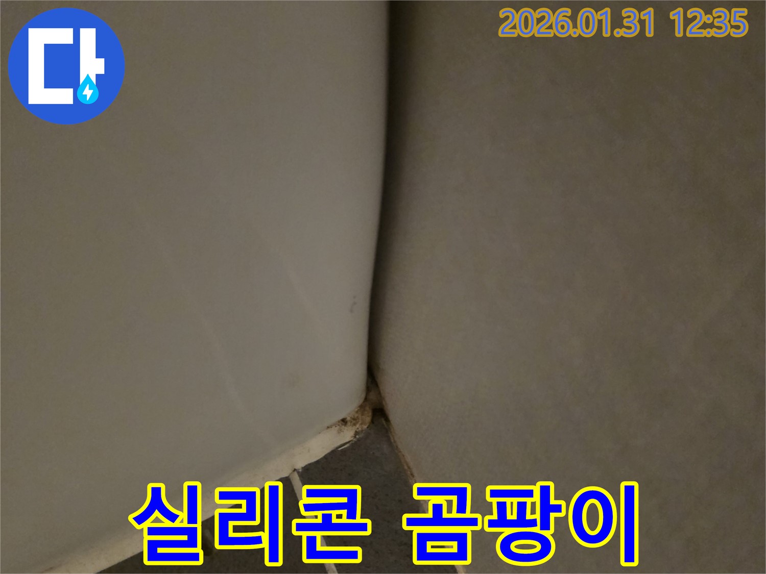 권선 - 욕조 실리콘 곰팡이와 누수 초기 증상 - 문제 해결 과정