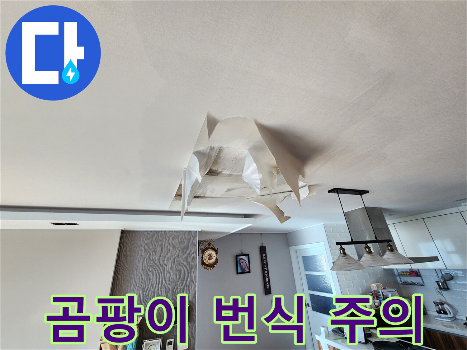 천장 누수 - 곰팡이 번식 - 건강 위협