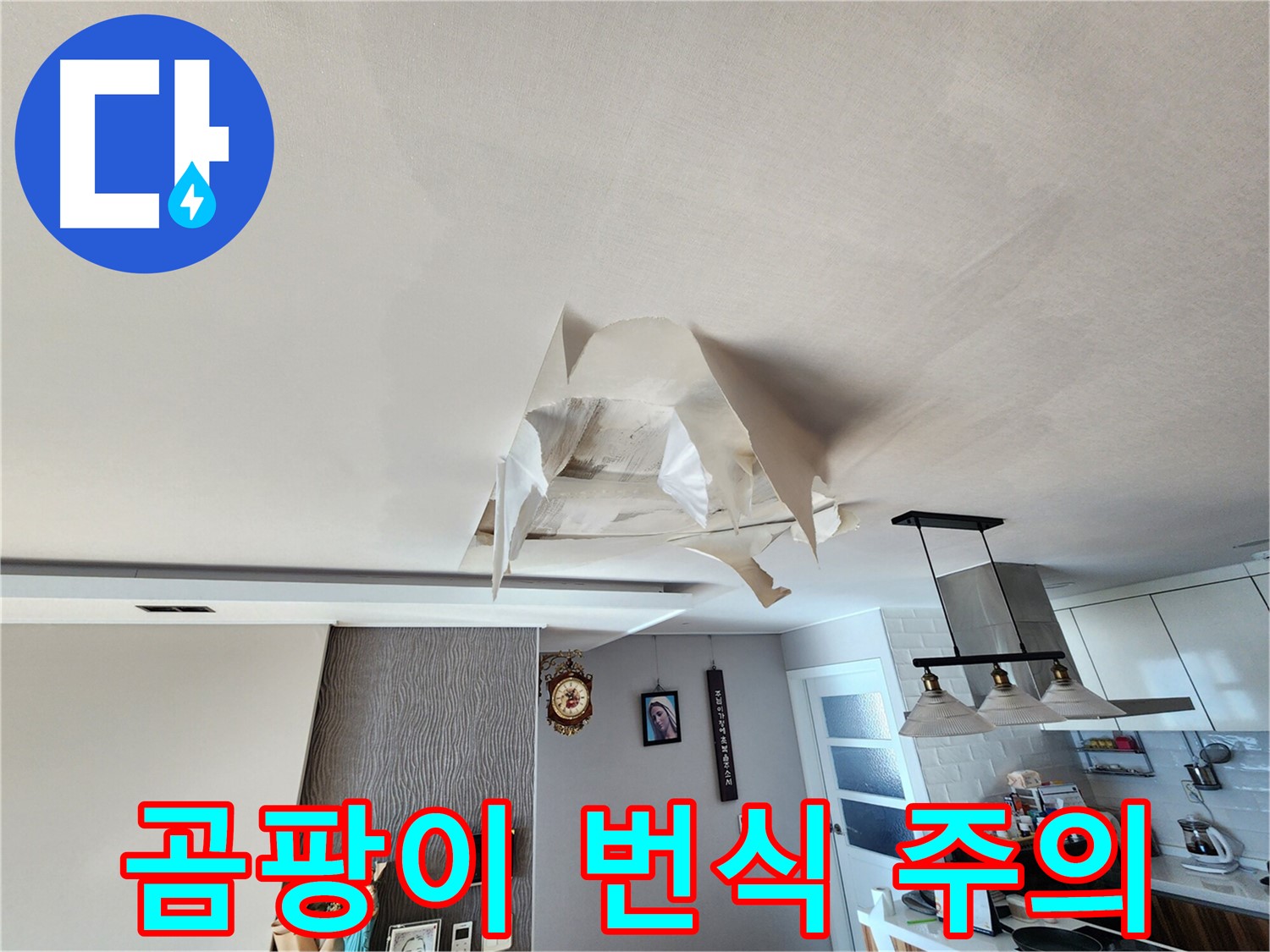 천장 누수 - 곰팡이 번식 - 건강 위협