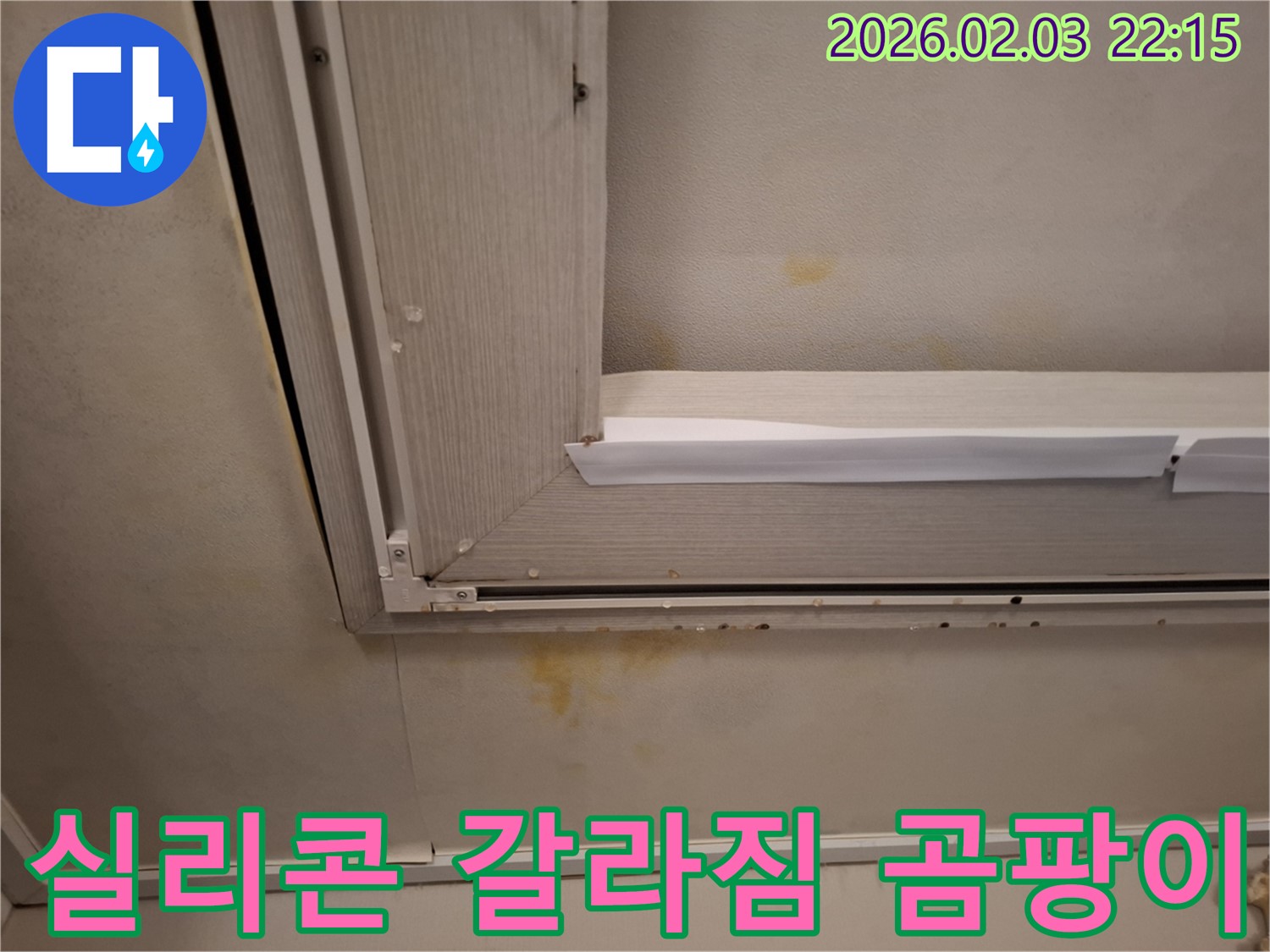 창문 틈새 실리콘 갈라짐으로 인한 벽 곰팡이 - 실리콘 재시공과 곰팡이 제거로 해결!