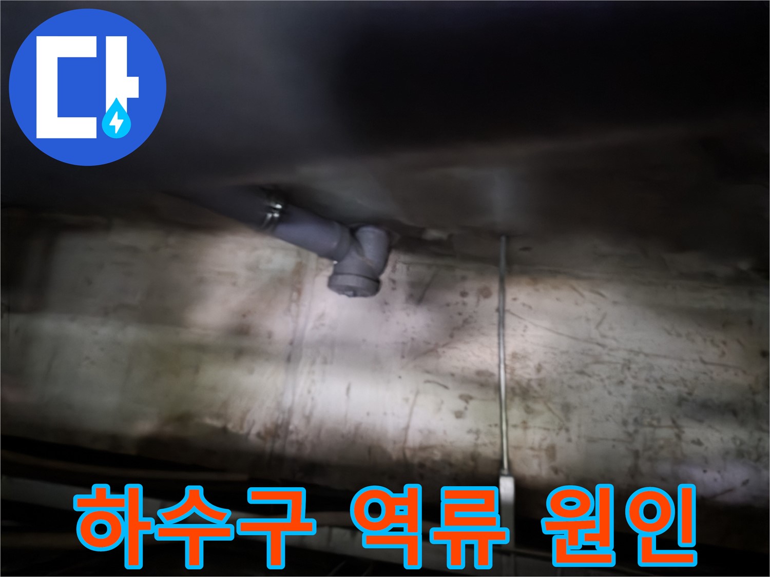 신정동 누수탐지 - 싱크대 하수구 역류 원인 파악 및 해결