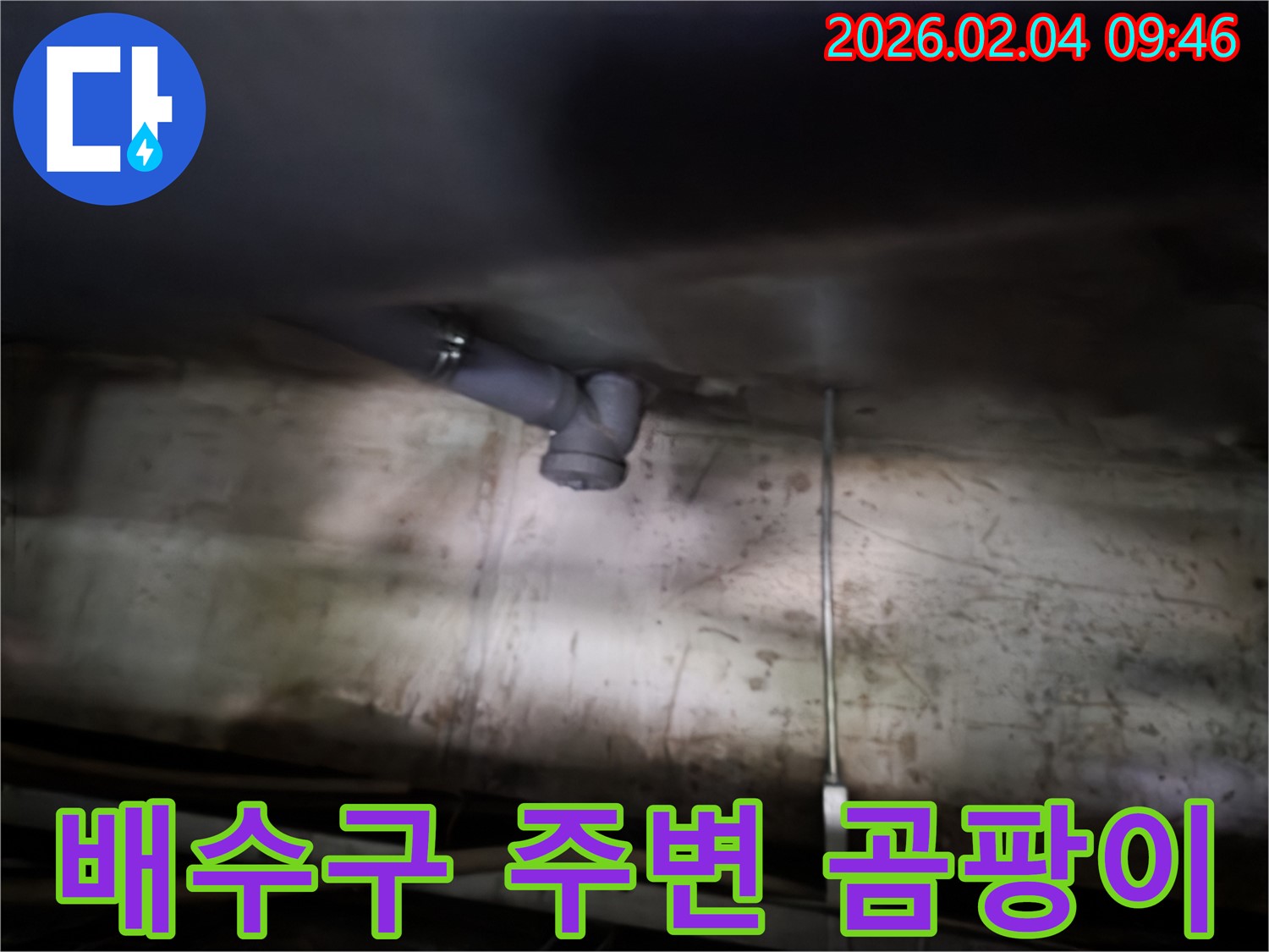 양천구 신월동 누수 - 싱크대 배수구 주변 곰팡이 확인