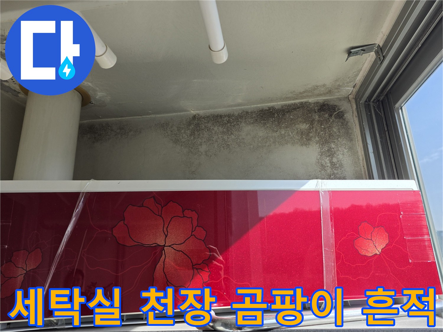 마포구 세탁실-천장 벽면에 발생한 검은 곰팡이와 물자국 현상