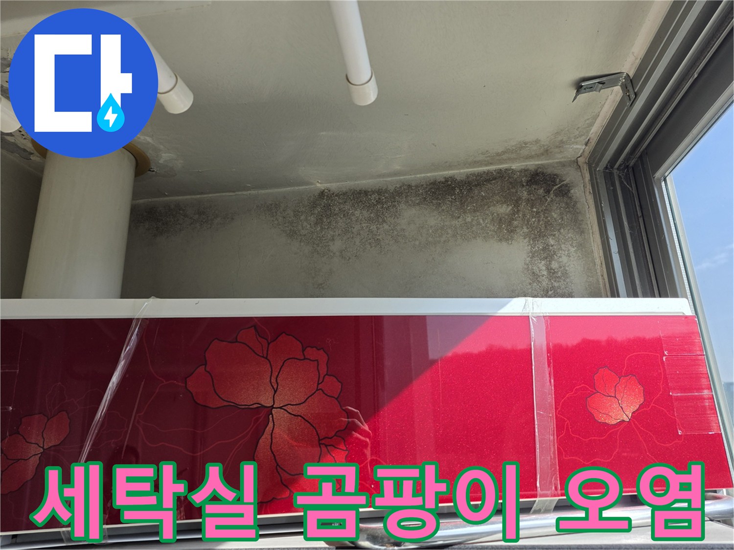 상암동 현장-세탁실 벽면의 곰팡이와 물자국 상태