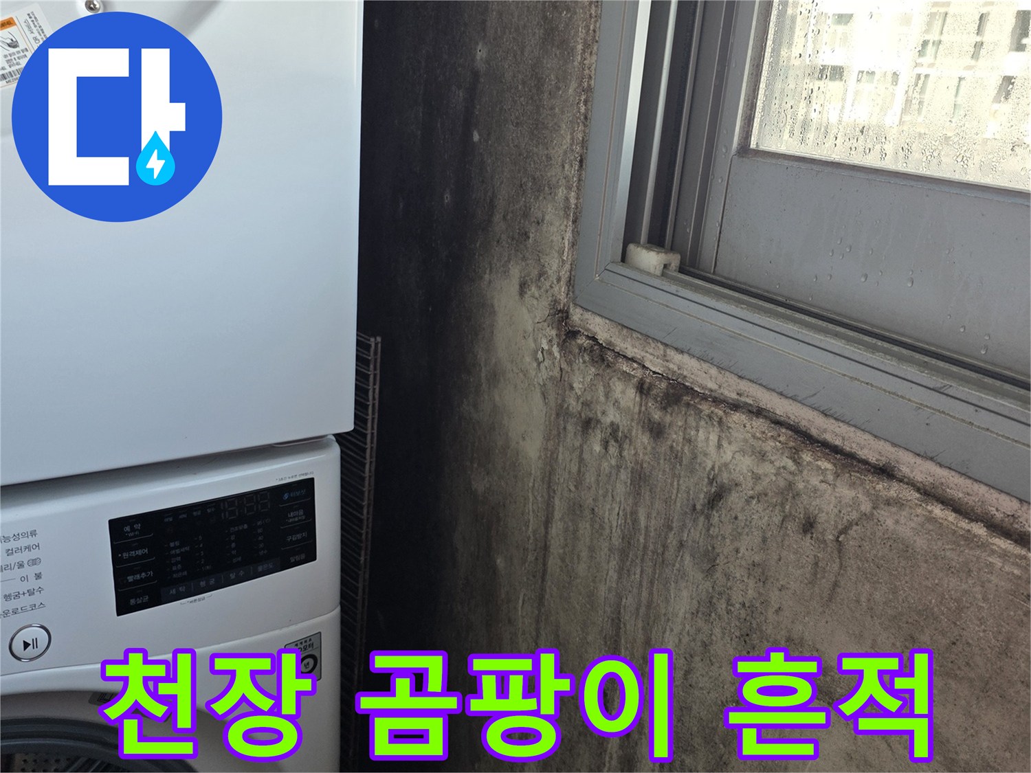 세탁실-천장 부근의 광범위한 곰팡이 오염