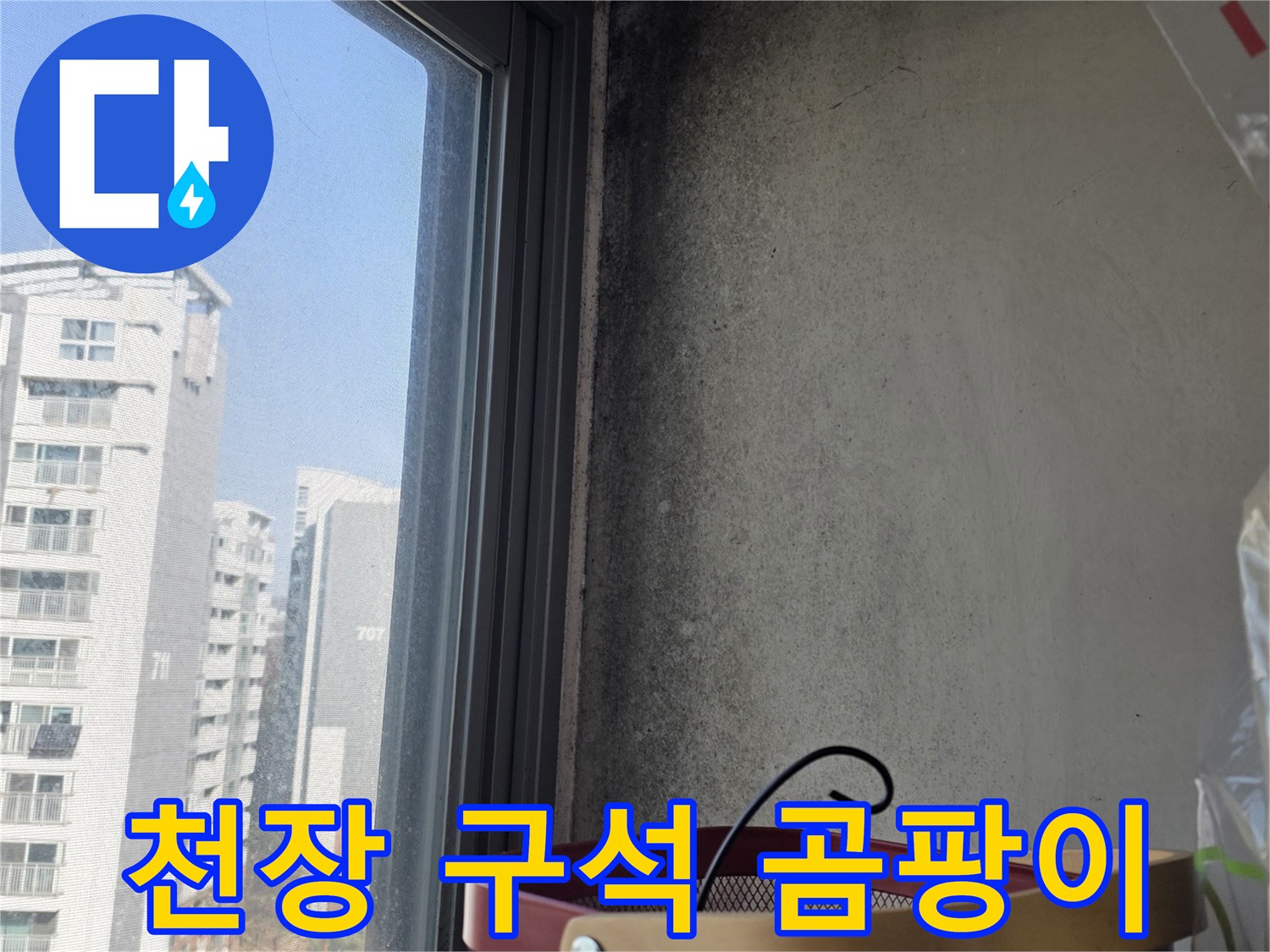 창문 근처-벽면 천장 곰팡이 오염 부위