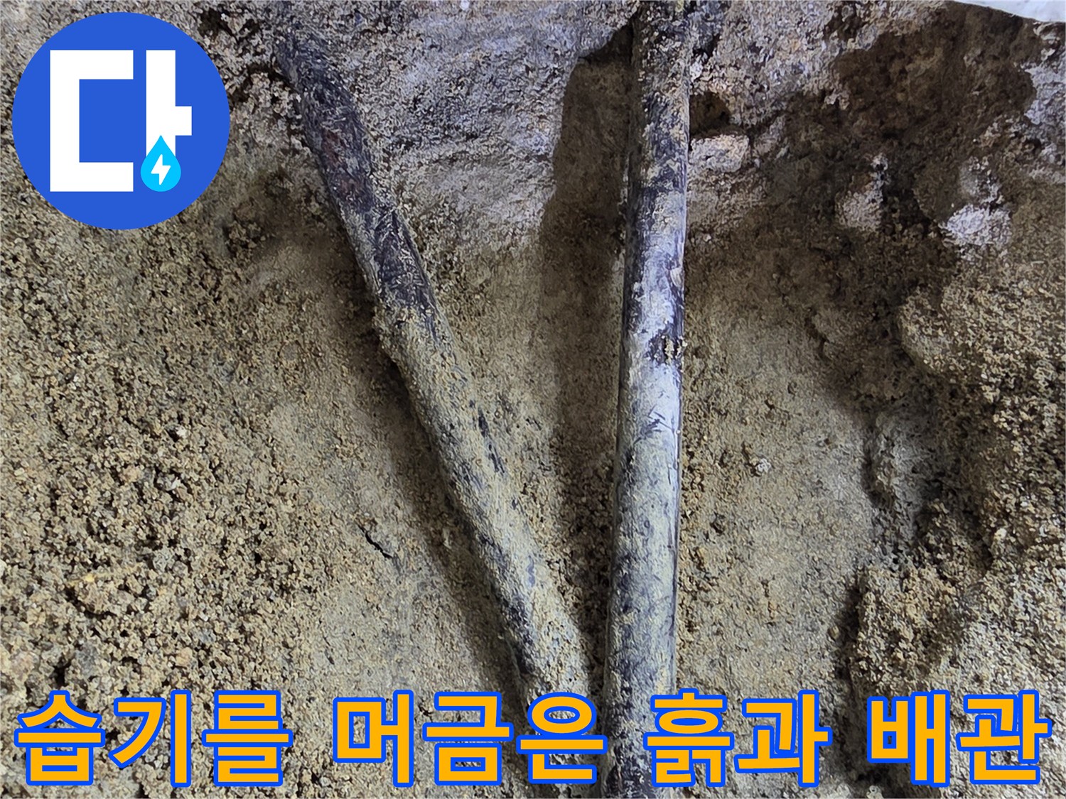 중랑지점에서-확인된-젖어있는-배관 부위입니다