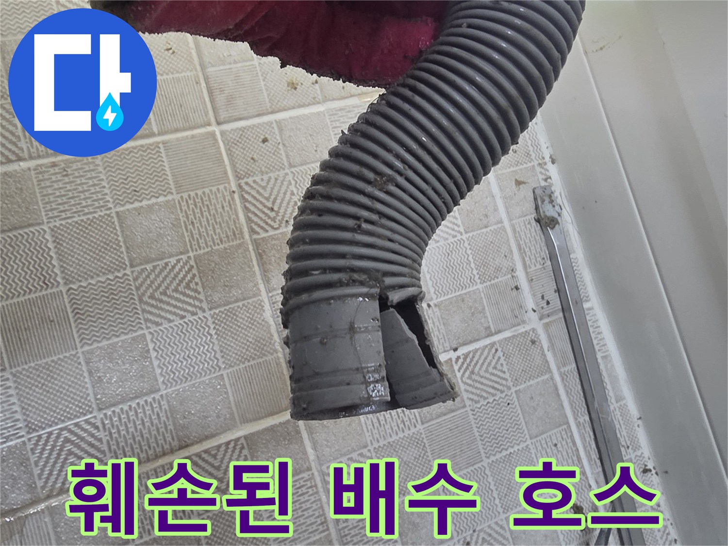 훼손된 자바라-찢어진 배수 배관 모습