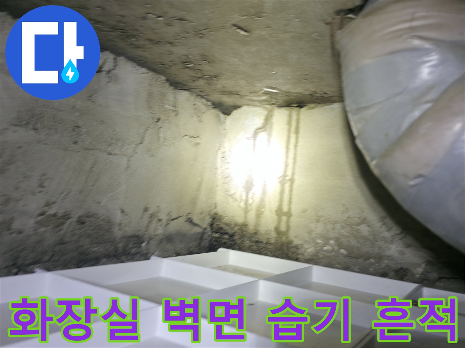 덕양구 현장-화장실 천장 근처 벽면에 보이는 젖은 얼룩과 습기 상태