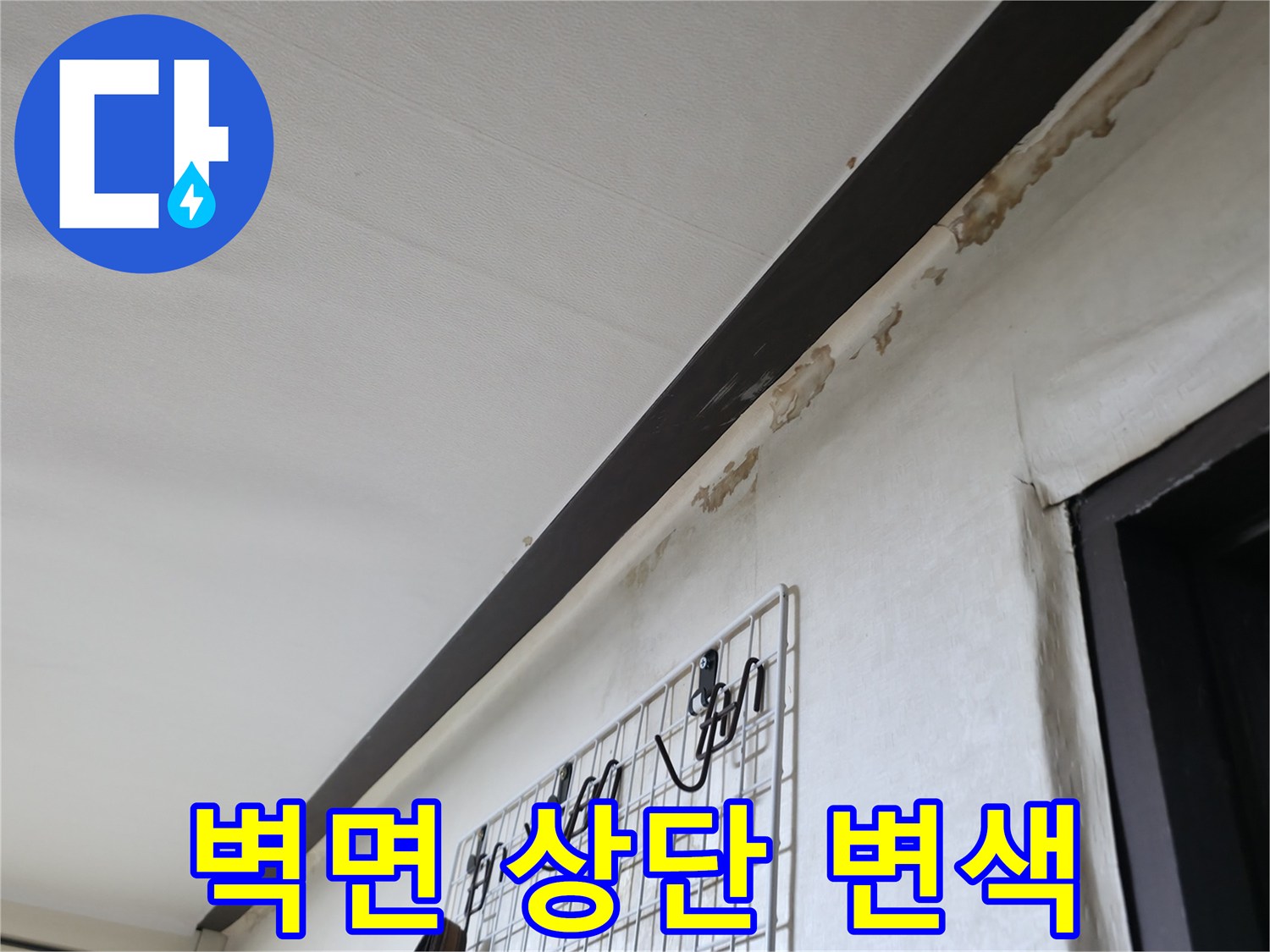 천장 몰딩 하단부의 젖은 듯한 얼룩과 오염 부위