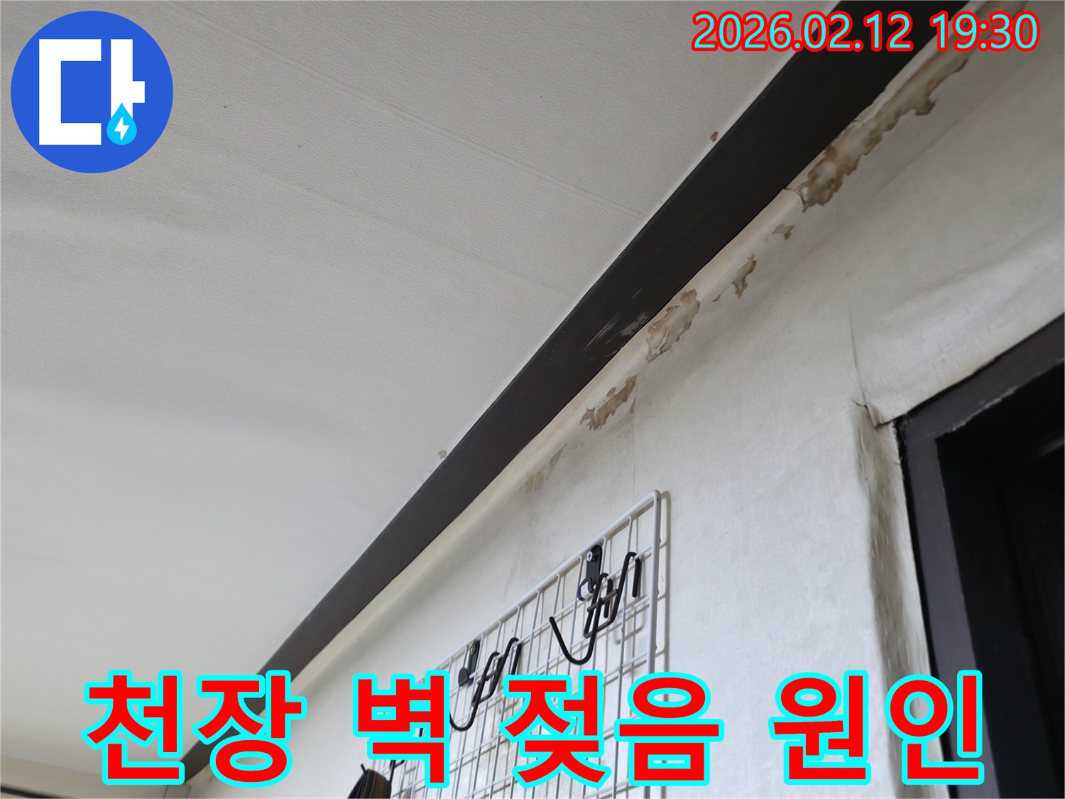 천장과-벽면-경계에-누수로-인해-벽지가-젖고-손상된-모습을-보여주며-원인-분석이-필요한-상황