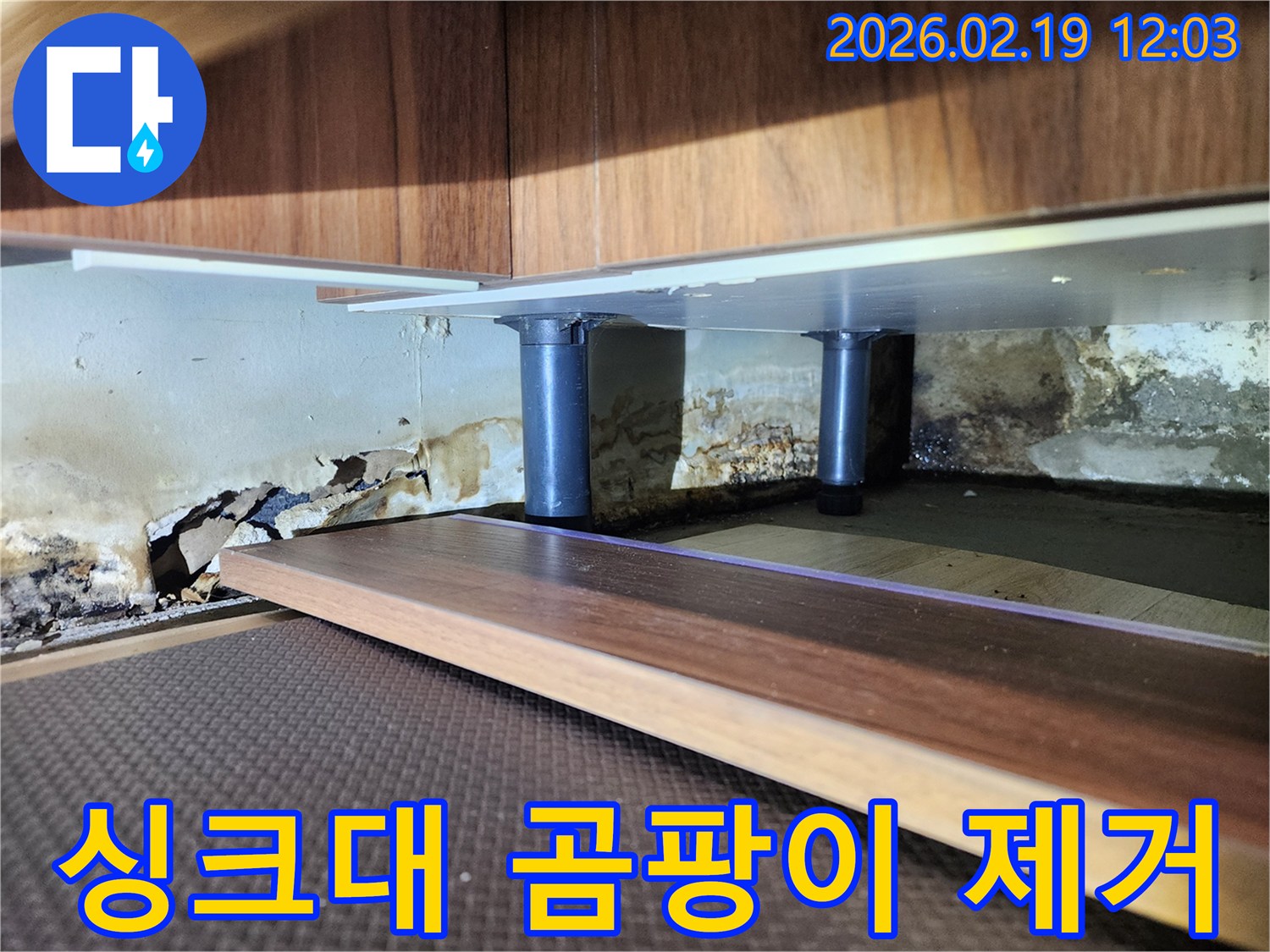 싱크대 하부 벽면의 심각한 누수 흔적-벽지 손상과 곰팡이가 광범위하게 퍼진 상태를 전문가가 진단