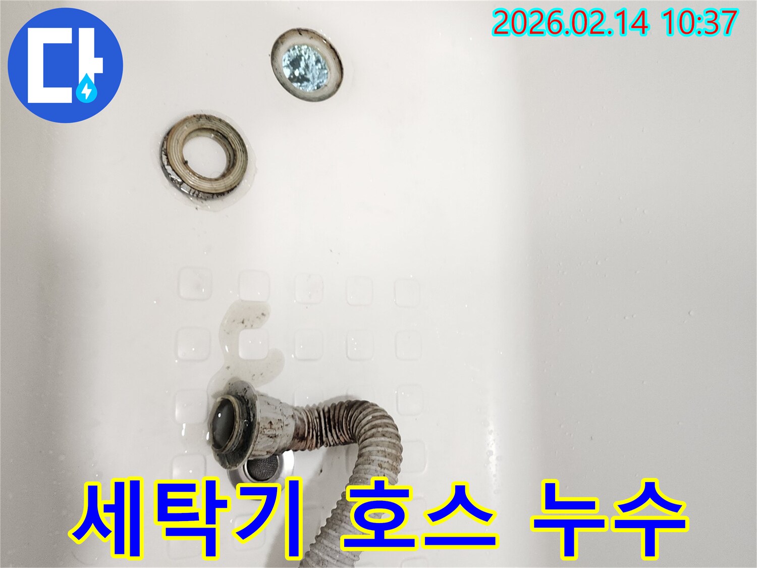 물이 고여있는-욕실 배수구 주변-누수 현장 사진